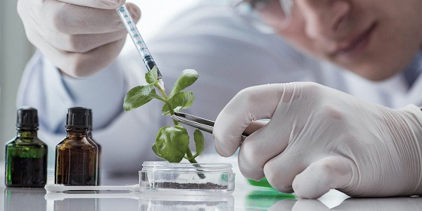 biotechnologia medyczna